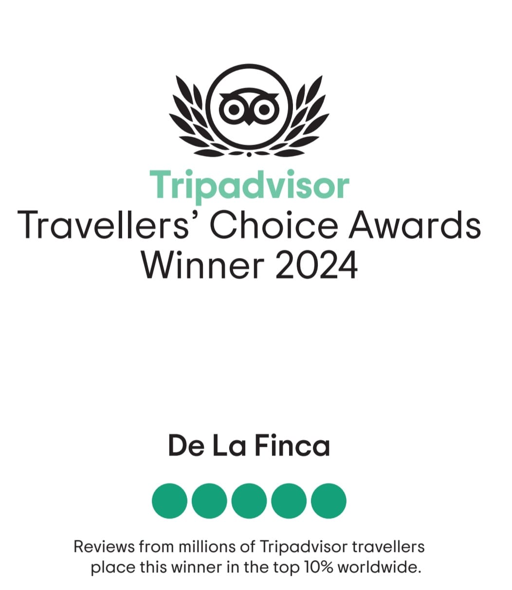 Imagen Tripadvisor